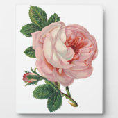 Rozen zijn roze fotoplaat (Voorkant)