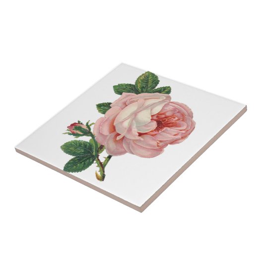 Rozen zijn roze tegeltje (Zijkant)