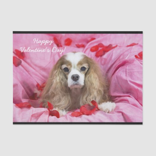 Rozenblaadjes, Valentijnsdag Cavalier King Charles Tissuepapier (Voorkant)