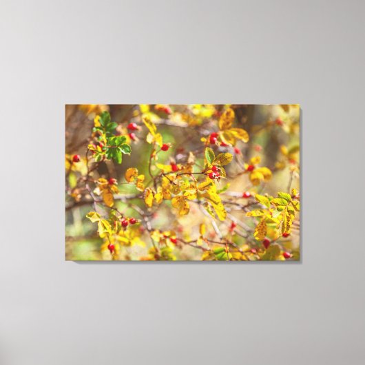 Rozenbottel Autumn Canvas Afdruk (Voorkant)
