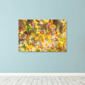Rozenbottel Autumn Canvas Afdruk (Insitu (Houten vloer))