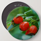 Rozenbottel na regen ronde button 6,0 cm (Voorkant /achterkant)