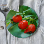 Rozenbottel na regen ronde button 6,0 cm (In situ)