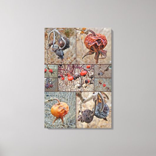 Rozenbottelcollage Canvas Afdruk (Voorkant)