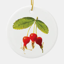 Rozenbottelpatroon 3