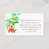 Rozenbottels Rozen Kruid Botanisch Plant Rood Visitekaartje (Achterkant)