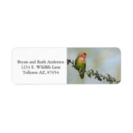 Rozengezichtige agapornis op een tak etiket