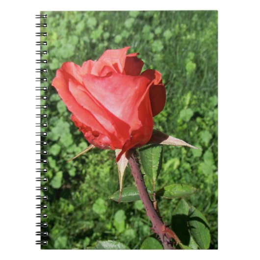 Rozennotitieboek Notitieboek (Voorkant)