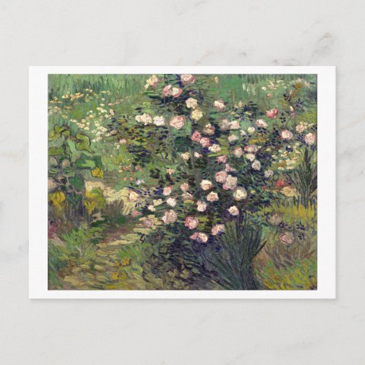 Rozenstruik in Blossom Vincent van Gogh Briefkaart (Voorkant)
