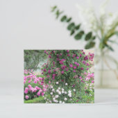 Rozentuin Briefkaart (Staand voorkant)