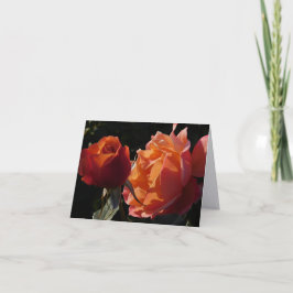 Rozentuin Fijne Kunst Fotografie Vouwbare Notitiek Bedankkaart