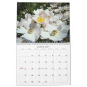 Rozentuin! Kalenders Fotografie Wit naar Rood Kalender (Mar 2027)