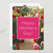 Rozentuin Pad Rood Roze Groen 2025 Feestdagenkaart (Voorkant / Achterkant)