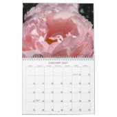 Rozentuinier Kalenders Fotografie Rozen Kalender (Jan 2027)