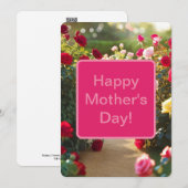 Rozentuinpad Rood Roze Groen 2025 Feestdagenkaart (Voorkant / Achterkant)