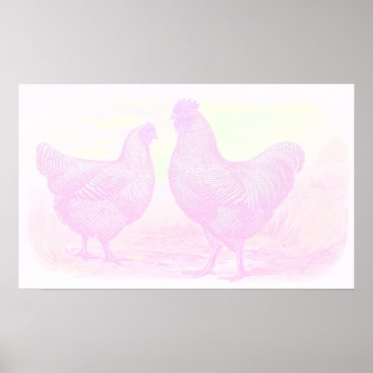 RozeSchuimcanvas Poster (Voorkant)