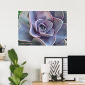 Rozet Succulent Beauty Poster (Thuiskantoor)