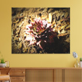 Rozet Succulent in de grond Canvas Afdruk (Insitu (Woonkamer))