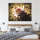 Rozet Succulent in de grond Canvas Afdruk (Insitu (Slaapkamer))