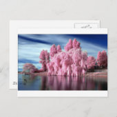 RozeTree Briefkaart (Voorkant / Achterkant)