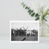 Rrendierbeslag op Alaska-foto Briefkaart (Staand voorkant)