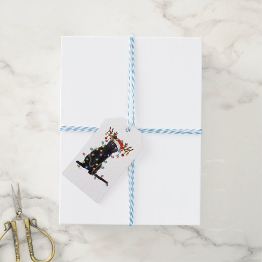 Rrendierzwarte kerst verlicht de grappige kattenli cadeaulabel (Met Touw)