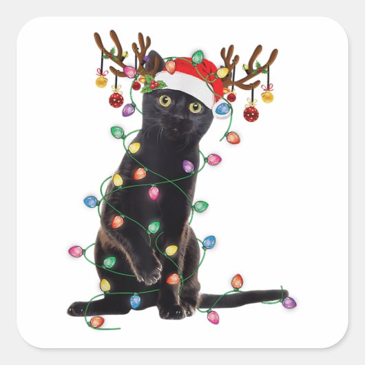 Rrendierzwarte kerst verlicht de grappige kattenli vierkante sticker (Voorkant)