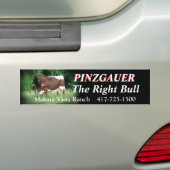 RRF2-rhtbl-Bumpersticker-pas aan Bumpersticker (Op auto)