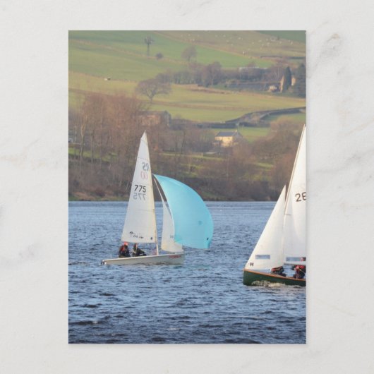 RS200 en firefly Dinghies Briefkaart (Voorkant)