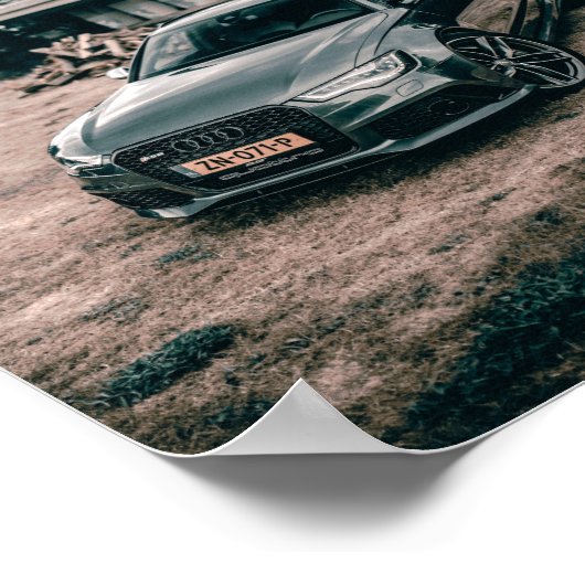 rs6beast poster (Hoek)