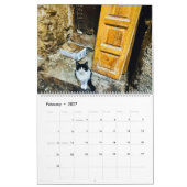 RSD Rond de Wereld | Katten van Marokko Kalender (Feb 2027)