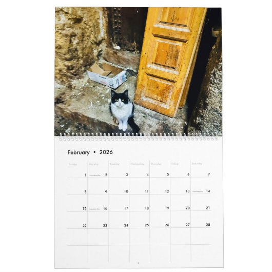 RSD Rond de Wereld | Katten van Marokko Kalender (Feb 2026)
