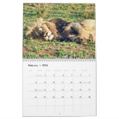 RSD Rond de Wereld | Zuid-Afrika Safari Dieren Kalender (Feb 2026)