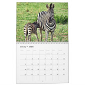 RSD Rond de Wereld | Zuid-Afrika Safari Dieren Kalender (Jan 2026)