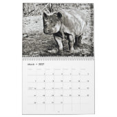 RSD Rond de Wereld | Zuid-Afrika Safari Dieren Kalender (Mar 2027)