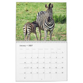 RSD Rond de Wereld | Zuid-Afrika Safari Dieren Kalender (Jan 2027)