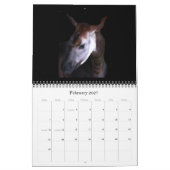 rSEANd - Natuur Kalender (Feb 2027)