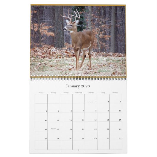 rSEANd - Natuur Kalender (Jan 2026)