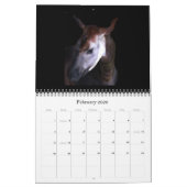 rSEANd - Natuur Kalender (Feb 2026)