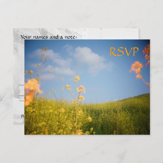 RSVP Briefkaart Bloemenveld (Voorkant / Achterkant)