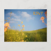 RSVP Briefkaart Bloemenveld (Voorkant)