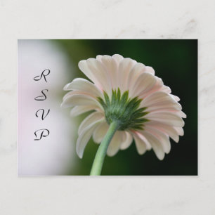 RSVP-Briefkaart Uitnodiging Briefkaart