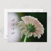 RSVP-Briefkaart Uitnodiging Briefkaart (Voorkant / Achterkant)