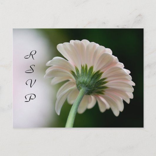 RSVP-Briefkaart Uitnodiging Briefkaart (Voorkant)