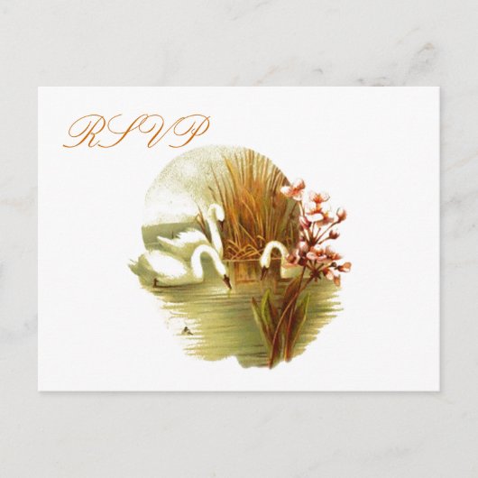 RSVP-Briefkaart Uitnodiging Briefkaart (Voorkant)