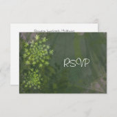RSVP bruiloftsreceptie Queen Anne's Lace Kaart (Voorkant / Achterkant)