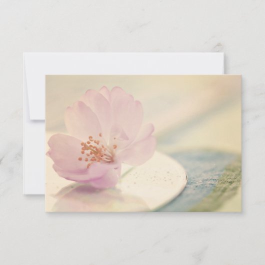 RSVP Delicate Soft Pink Cherry Blossom Flower Kaartje (Voorkant)