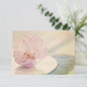 RSVP Delicate Soft Pink Cherry Blossom Flower Kaartje (Staand voorkant)