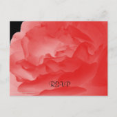 RSVP, Elegante Koraal Roze Rose Bloemen Uitnodiging Briefkaart (Voorkant)