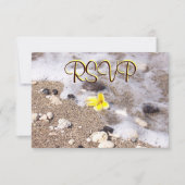 RSVP Guest Reply Enclosure Seashells, Plumeria (Voorkant)